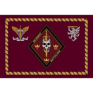 Прапор 1-й десантно-штурмовий батальйон у складі 80 ОДШБр (Flag-02339)